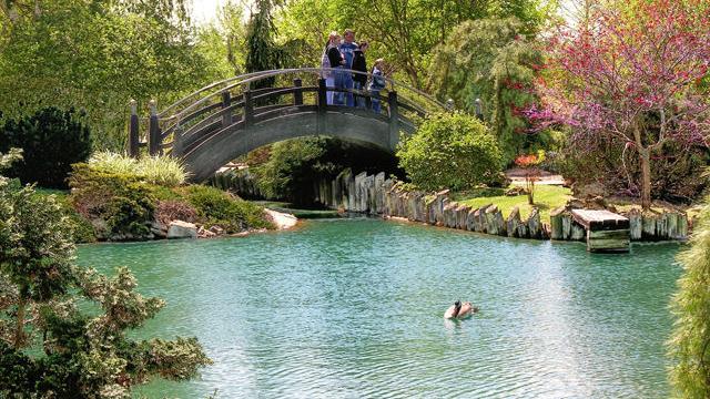 Mizumoto Japanese Stroll Garden Feastmagazine Com