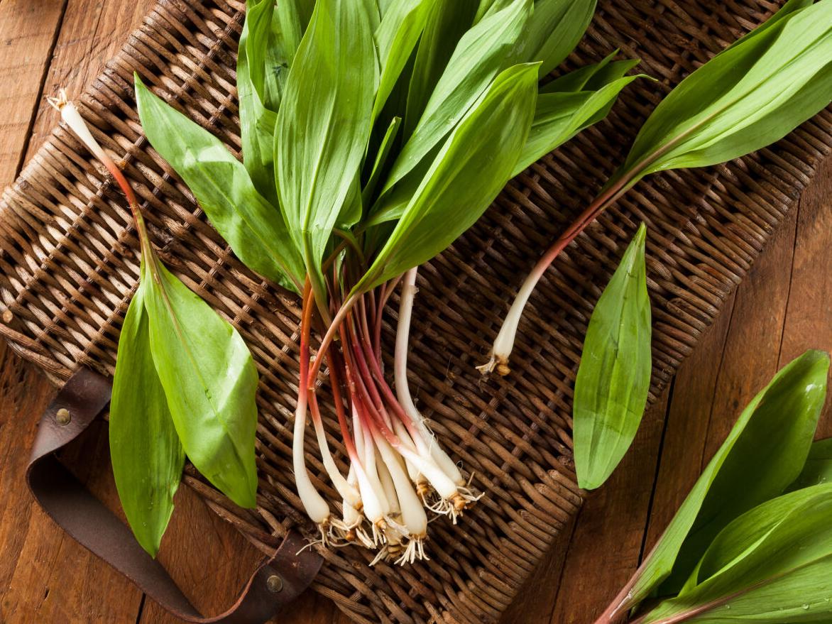 Ramps are here, and we have expert tips from local chefs who love them