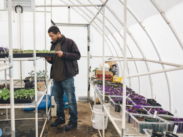 Greenhouse Update: Large Scale Hydroponics - Saint Louis Science Center