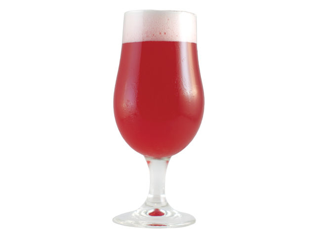 Old Bakery Beer Co.'s Hibiscus Tart