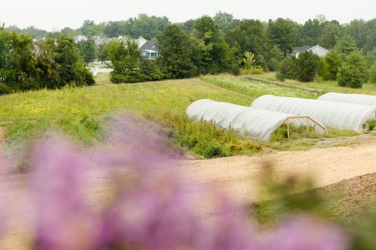 PHOTOS Stone Soup Cottage S New Wiese Farm Home The Feed Feast   523b2a7fe256a.image 