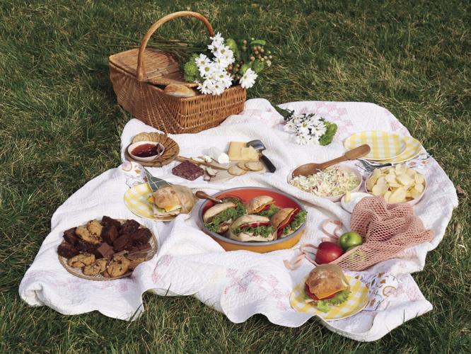 canna picnic