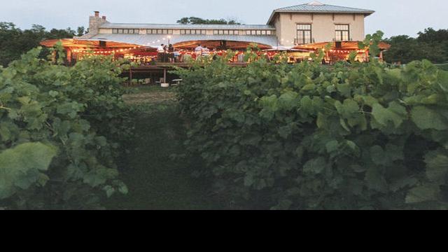 Chandler Hill Vineyards In Defiance Feastmagazine Com