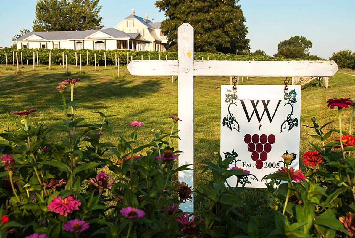 Learn How a Winemaker in Westphalia, Missouri, Revived Missouri