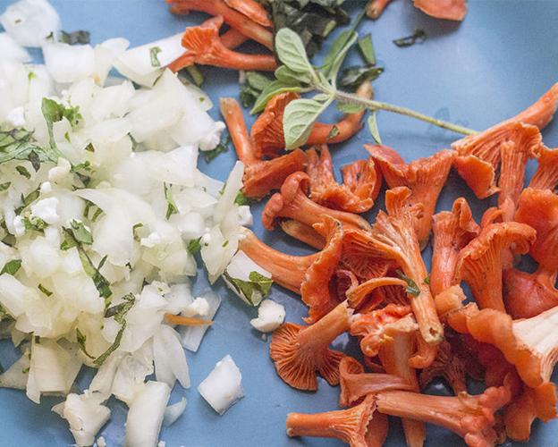 Foraging Missouri Chanterelles is Nature's Scavenger Hunt