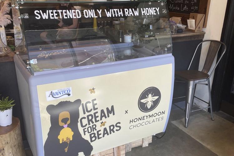 Ice Cream for Bears Honeymoon