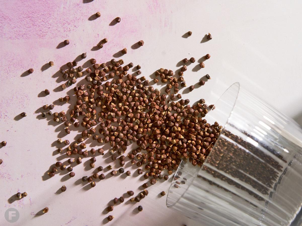 Grains of Paradise