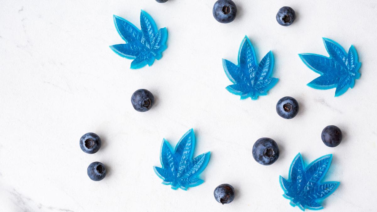 Cannabis CBD infused blueberry edibles