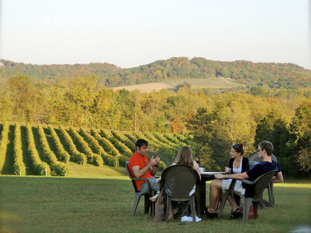 Noboleis Vineyards