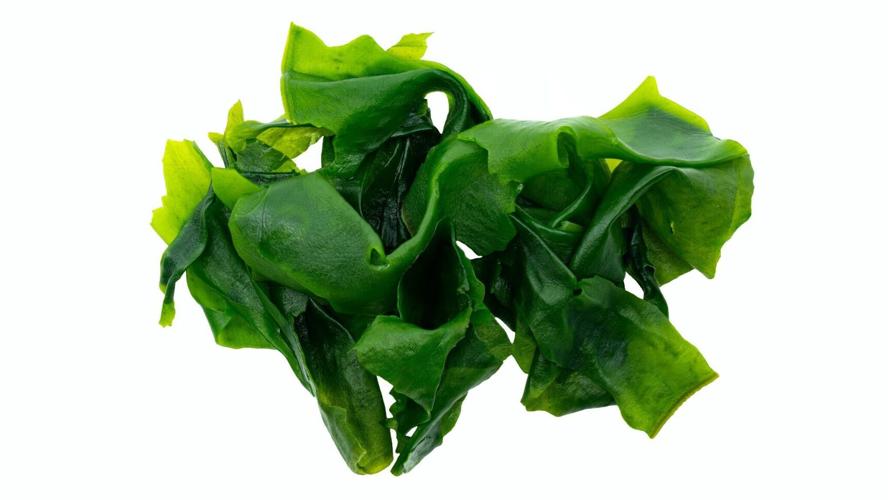 Wakame