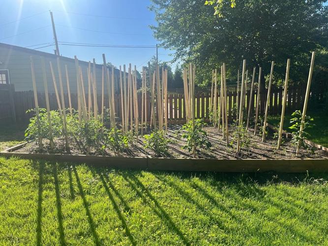 Matt Duffin’s vision of communitydriven micro gardening is taking off