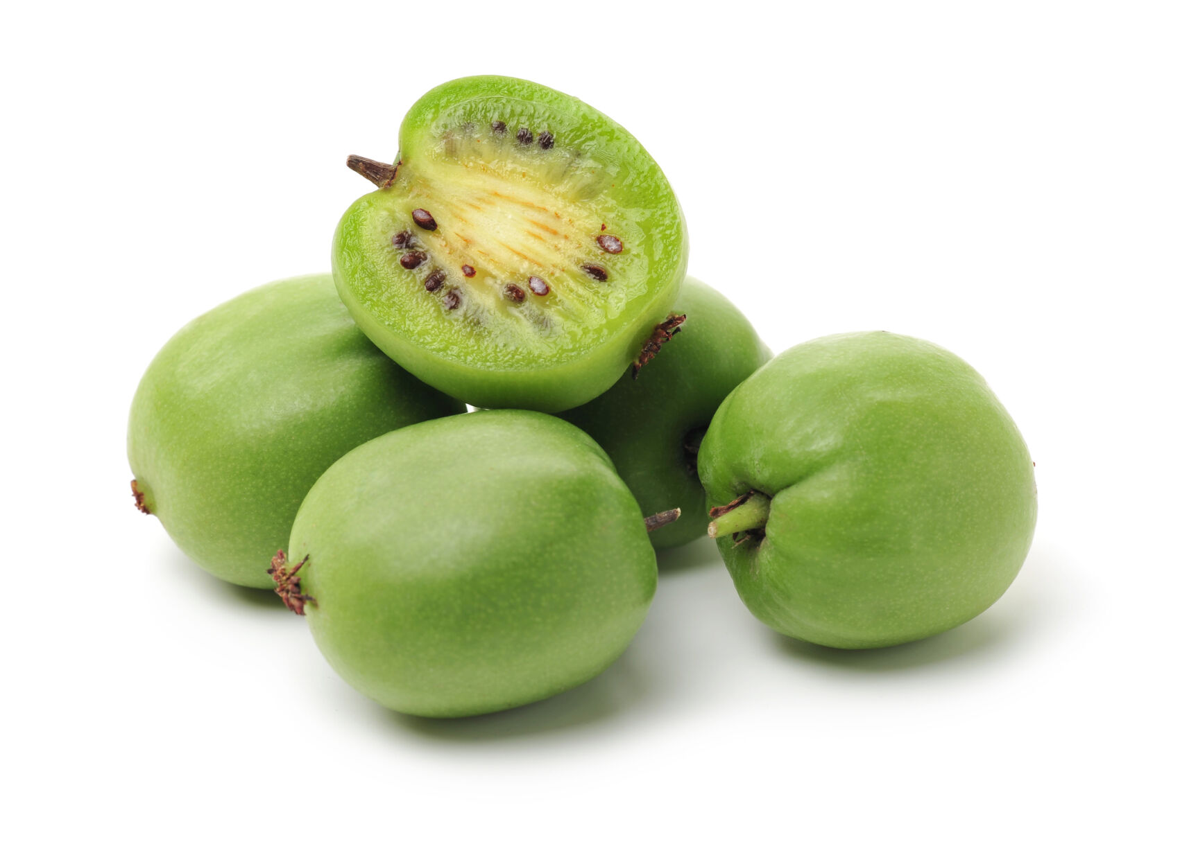 Types of Kiwi