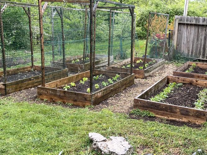 Matt Duffin’s vision of communitydriven micro gardening is taking off