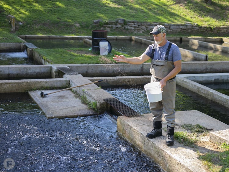 Catch Your Next Meal at Rainbow Trout & Game Ranch Features
