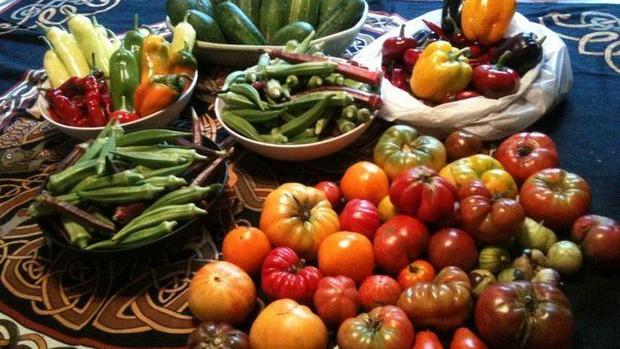 A Complete Guide To Kansas City Area Csas The Feed