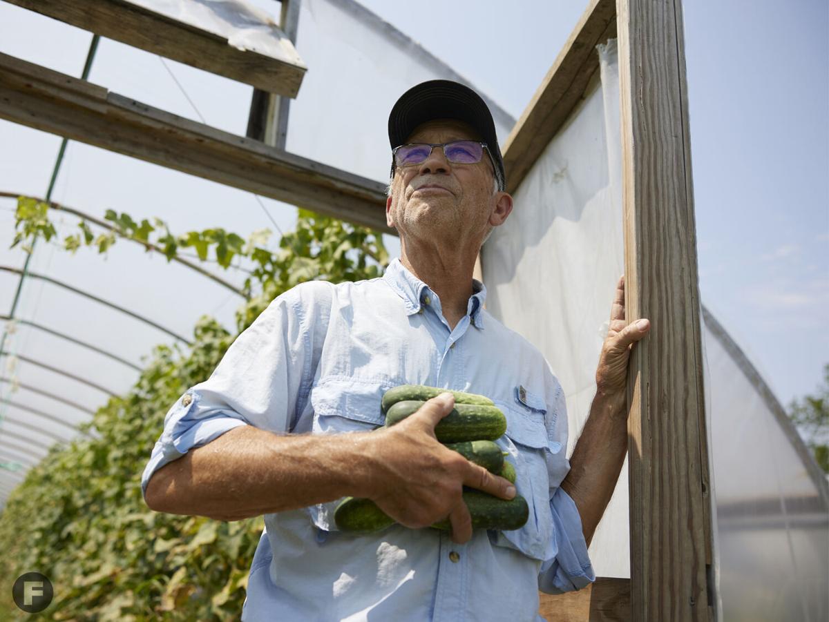 The Salad Garden Dan Kuebler