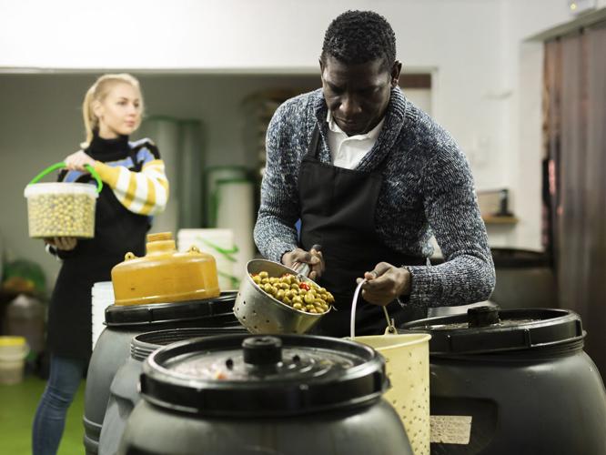 Crash Course: From curing to pressing to roasting your guide to olives