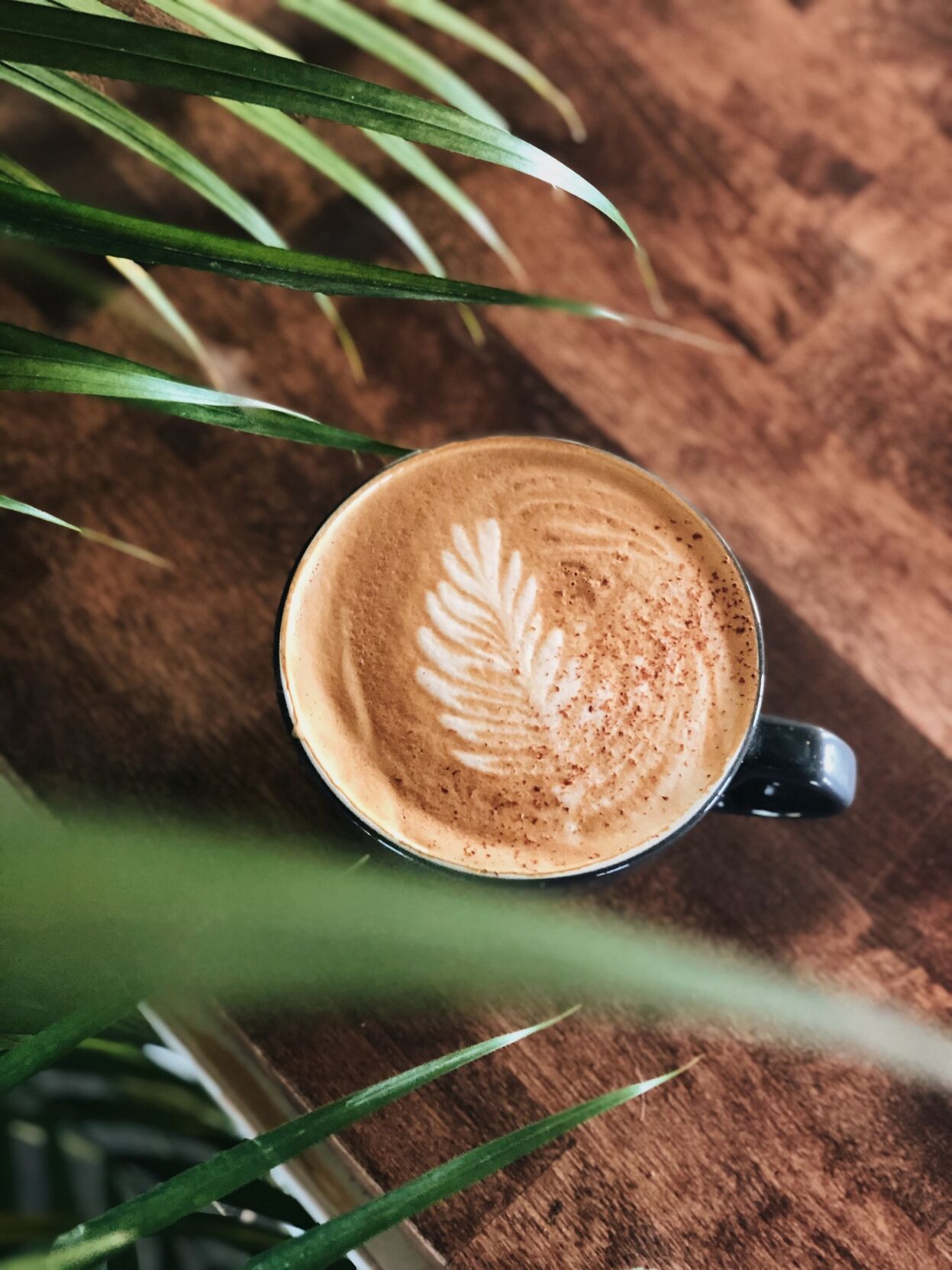 In Columbia, Three Story Coffee’s North Village Arts District location