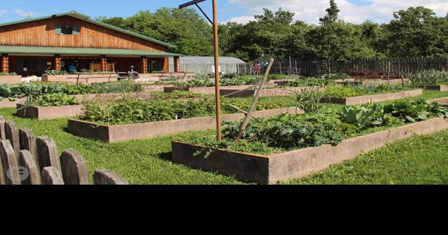 Kansas City Community Gardens Hopes to Feed a City Through Gardening
