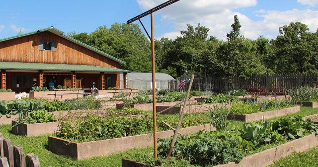 Kansas City Community Gardens Hopes to Feed a City Through Gardening