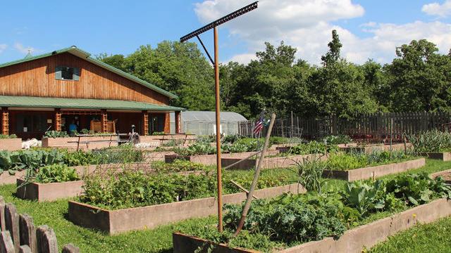 Kansas City Community Gardens Hopes to Feed a City Through Gardening