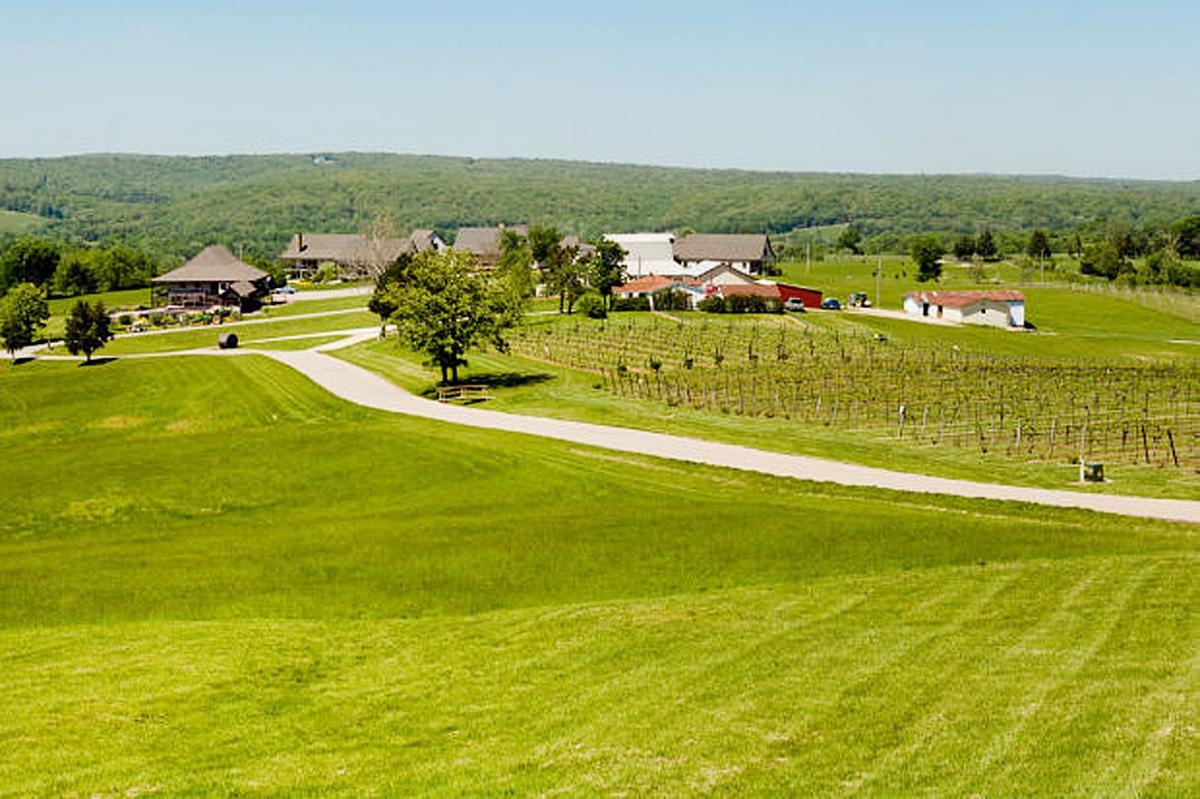 Winemaker Chaumette Vineyards Winery Feast 50 Feastmagazine Com