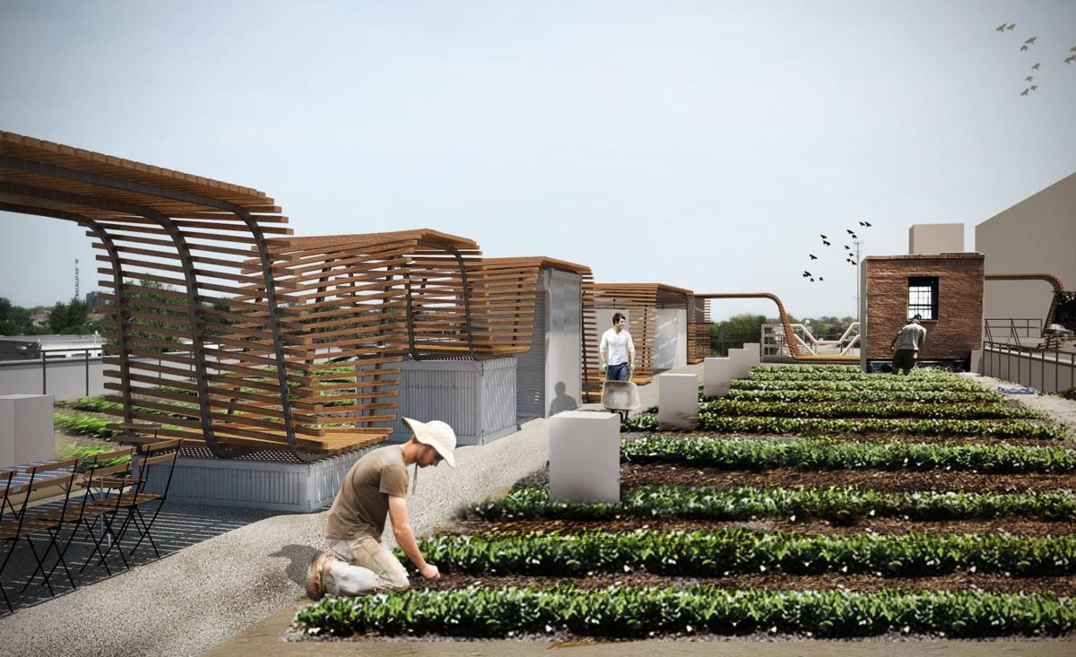 Urban Harvest STL Signs Lease for City's First Rooftop Farm The Feed