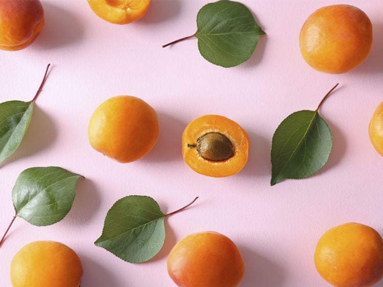 In Season Apricots