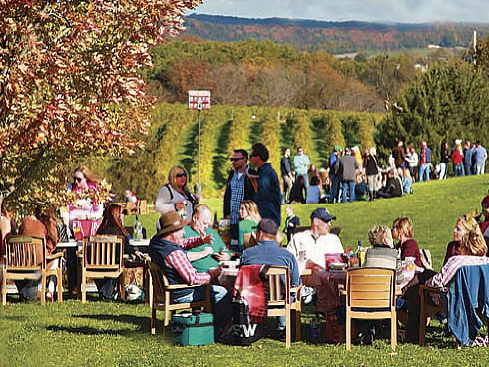 These wineries make Augusta, Missouri, a mustvisit destination
