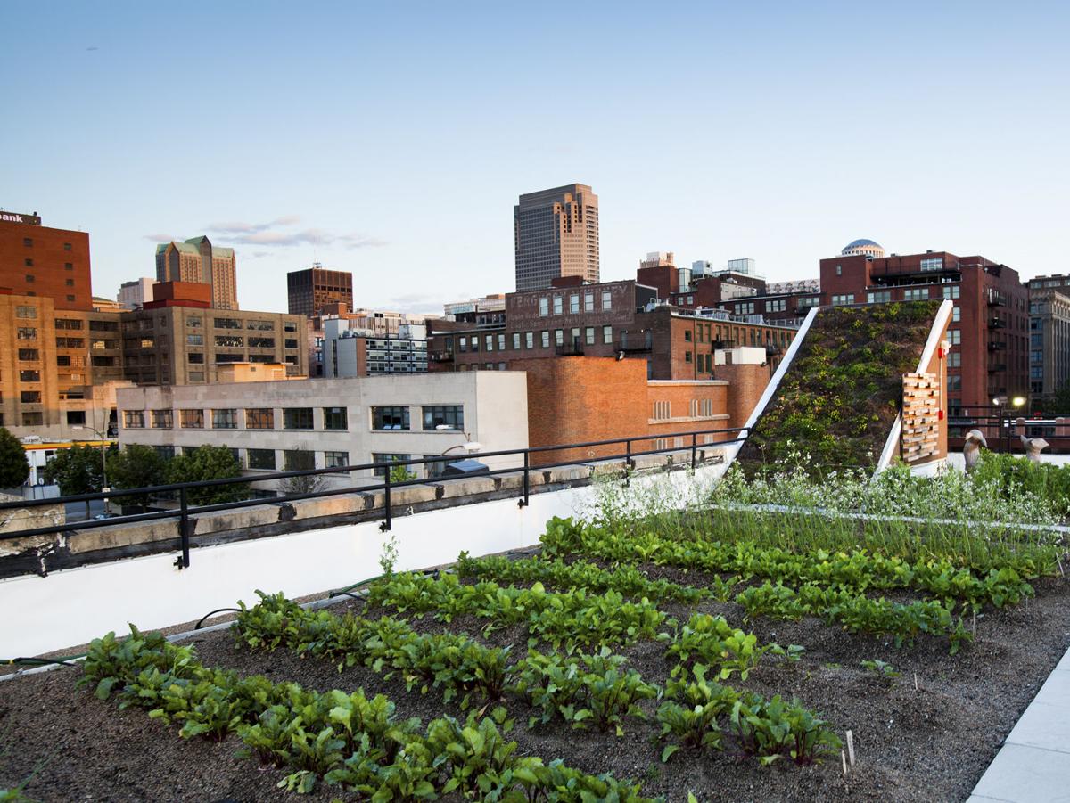 Feast TV Taste & See: Urban Farm to Fork