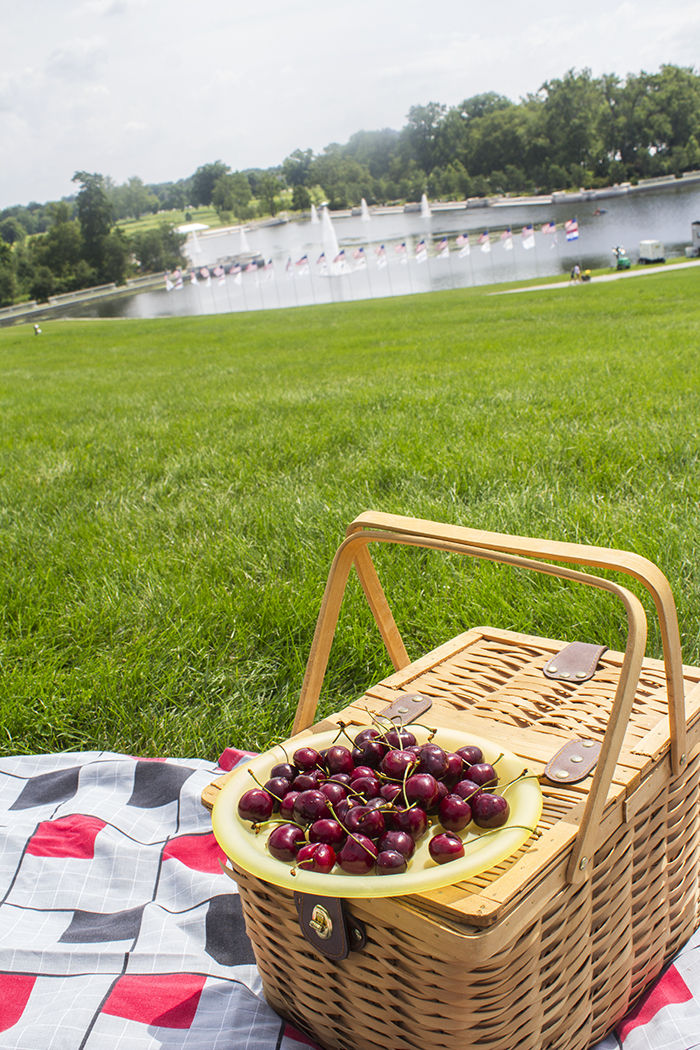 The 5 Best Picnic Spots in St. Louis | The Feed | Feast Magazine