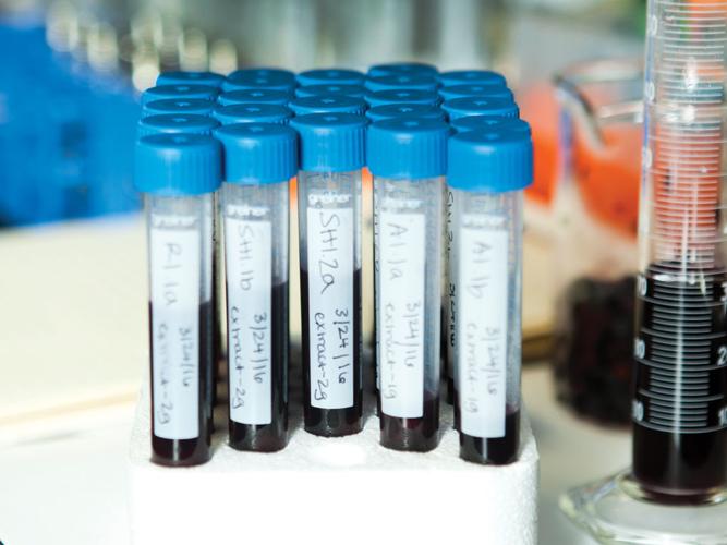 How the Grape and Wine Institute Is Pushing the Local Wine Industry Further