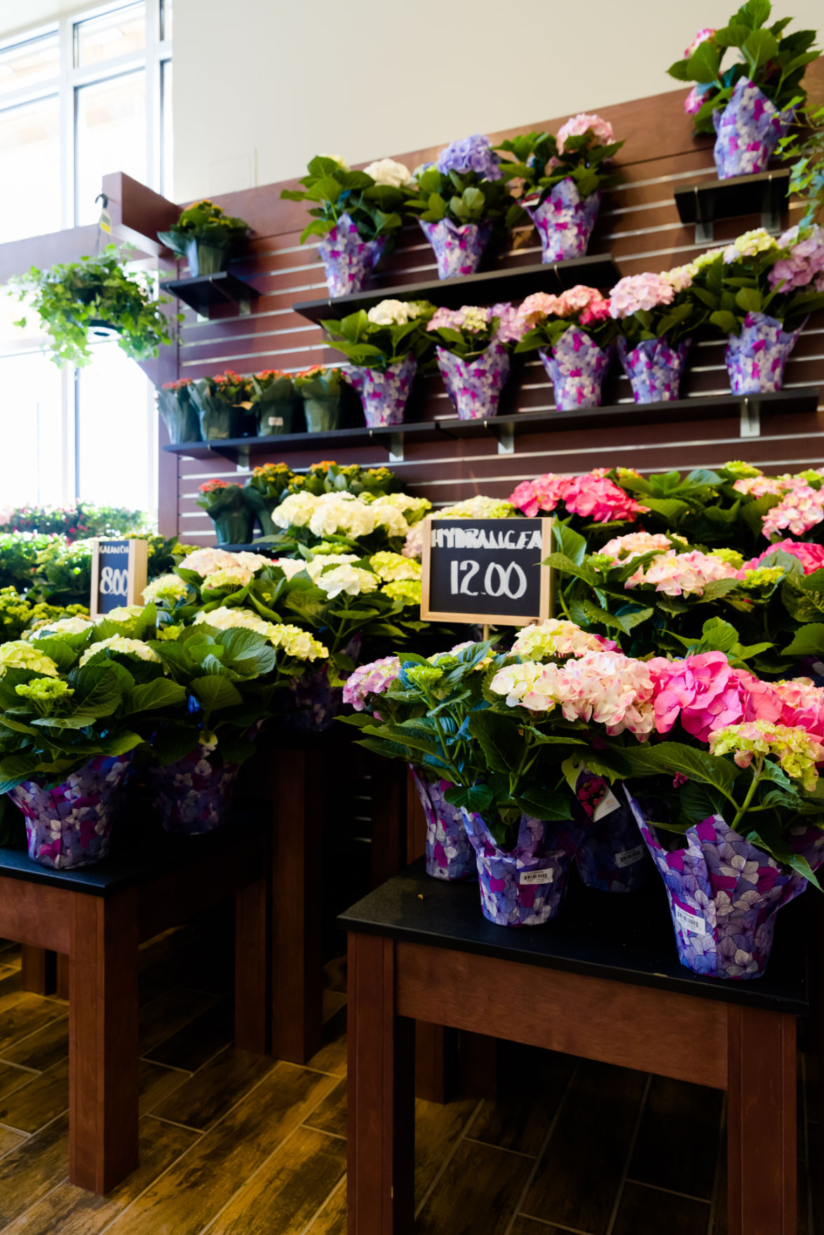 First Look The Fresh Market Opens Today in Creve Coeur The Feed