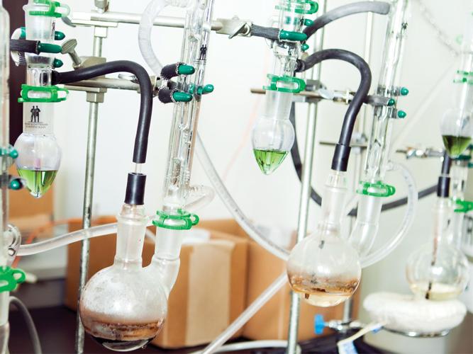 How the Grape and Wine Institute Is Pushing the Local Wine Industry Further