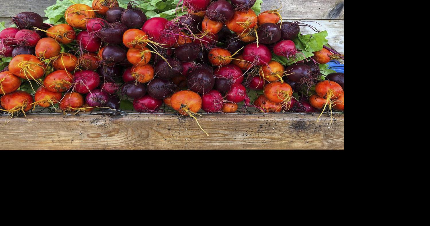 In its 16th season, Three Rivers Community Farm prioritizes supplying ...
