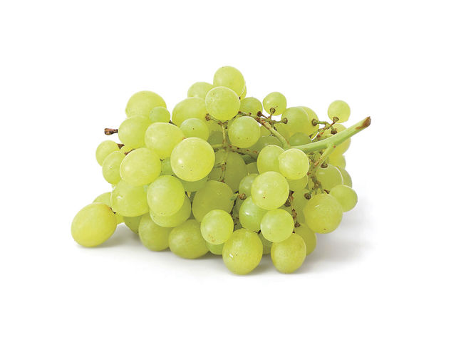 Chardonel