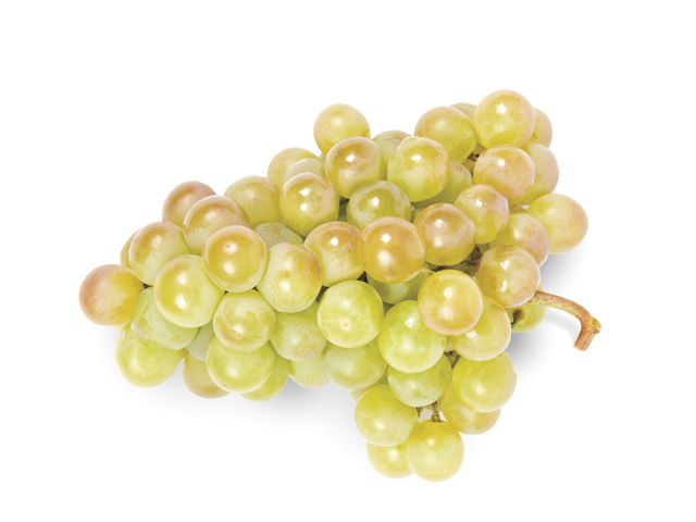 Traminette