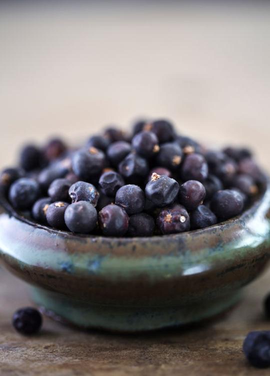 Meet Juniper Berries Recipes