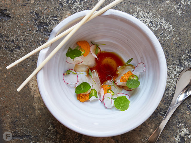Jonathan Ponzer's Fluke Crudo