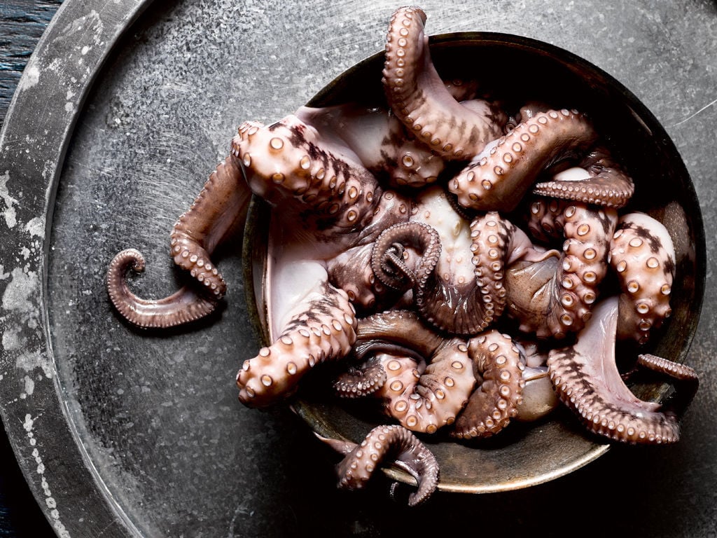 Everything You Need To Know About Cooking Octopus At Home Mystery Shopper Feastmagazine Com,Indian Head Nickel No Date