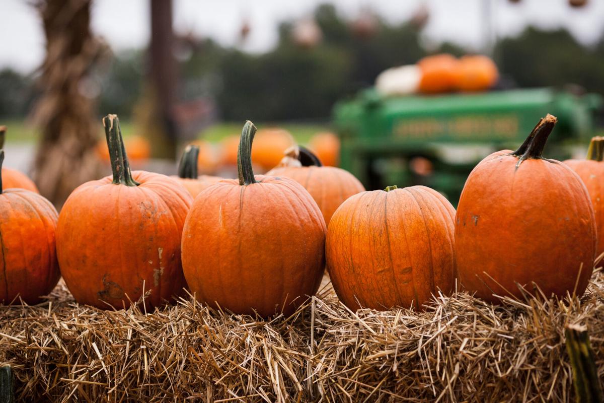 the-best-food-and-drink-events-in-st-louis-this-weekend-oct-29-31