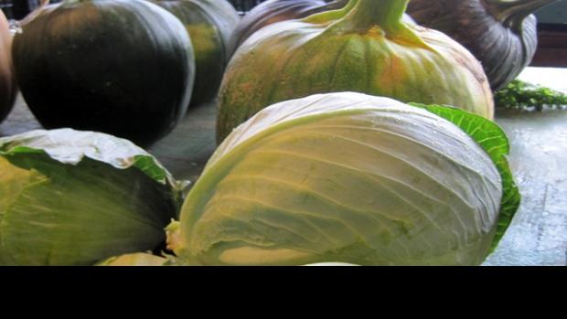 Your Complete Guide To St Louis Area Csas The Feed