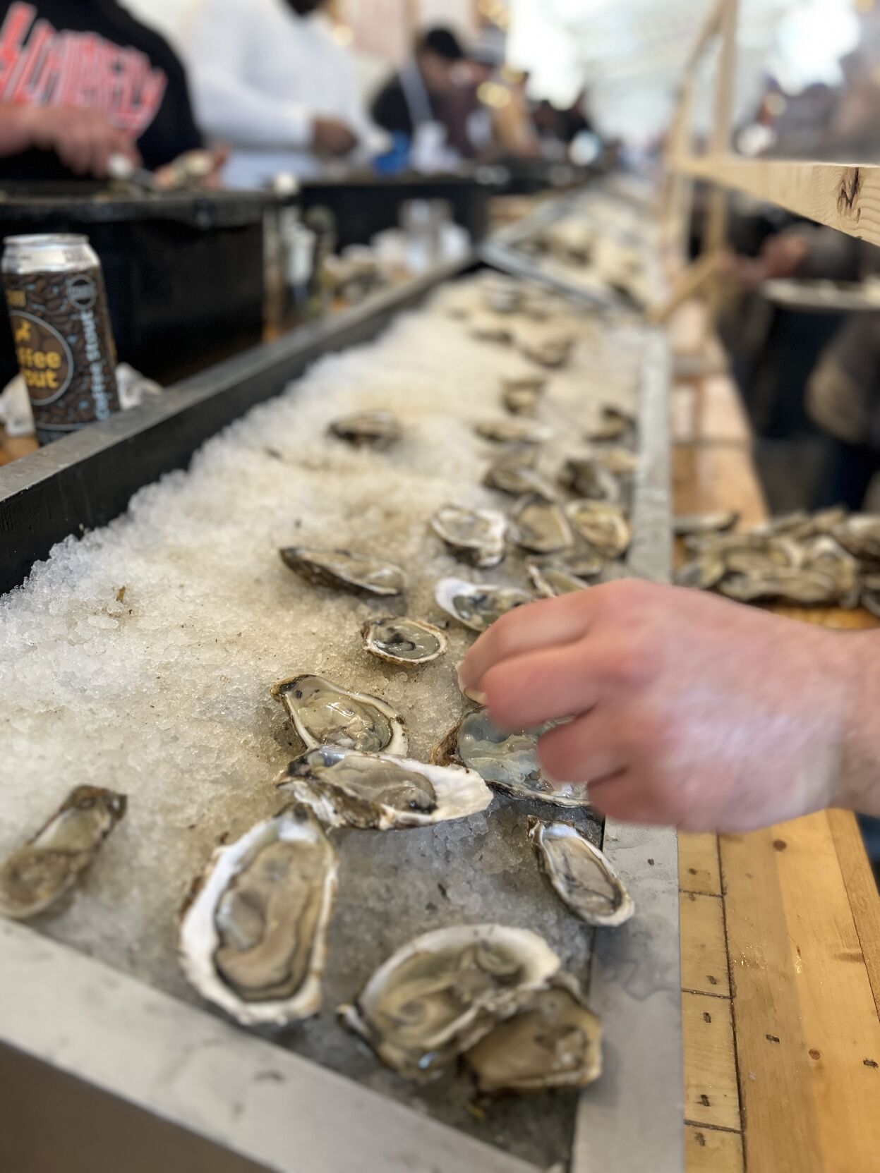 Schlafly's Stout & Oyster Festival returns March 89