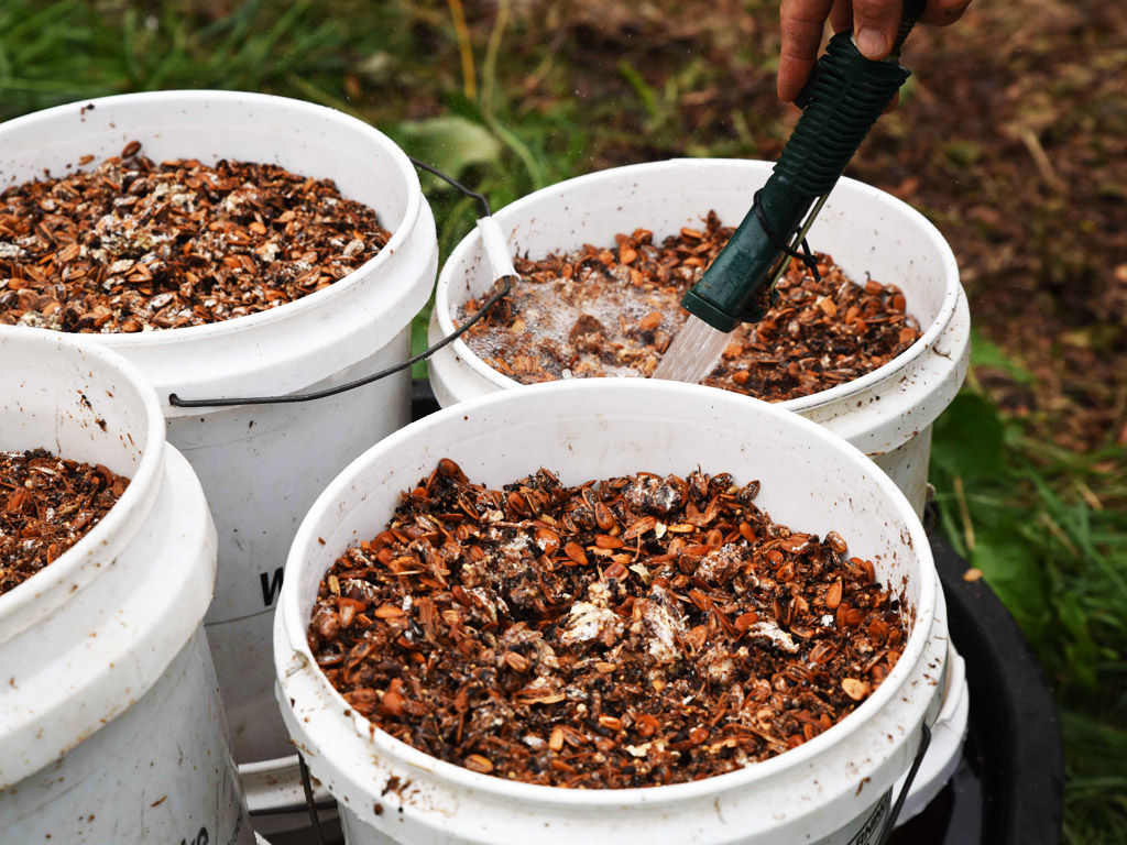 In Lawrence, Wakarusa Valley Farm Cultivates a Variety of Wild