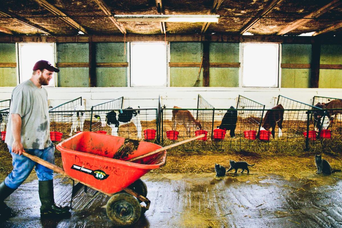 At College of the Ozarks, Students Farm and Cook for Free Tuition