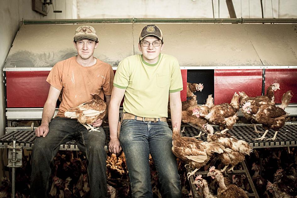 How Two Brothers Built the Largest Independent FreeRange Egg Operation