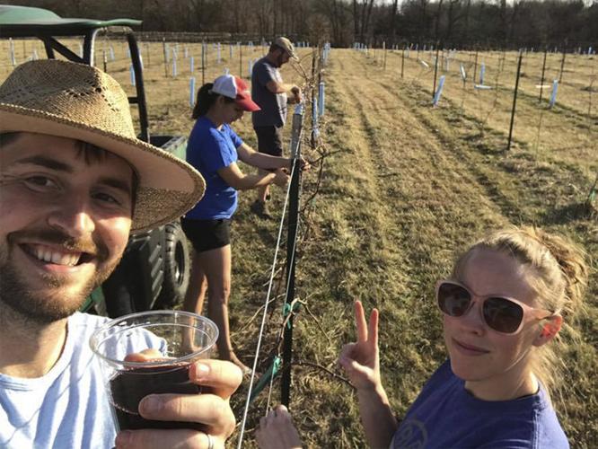 In Stover, Missouri, FamilyOwned Dale Hollow Winery Makes Wine with