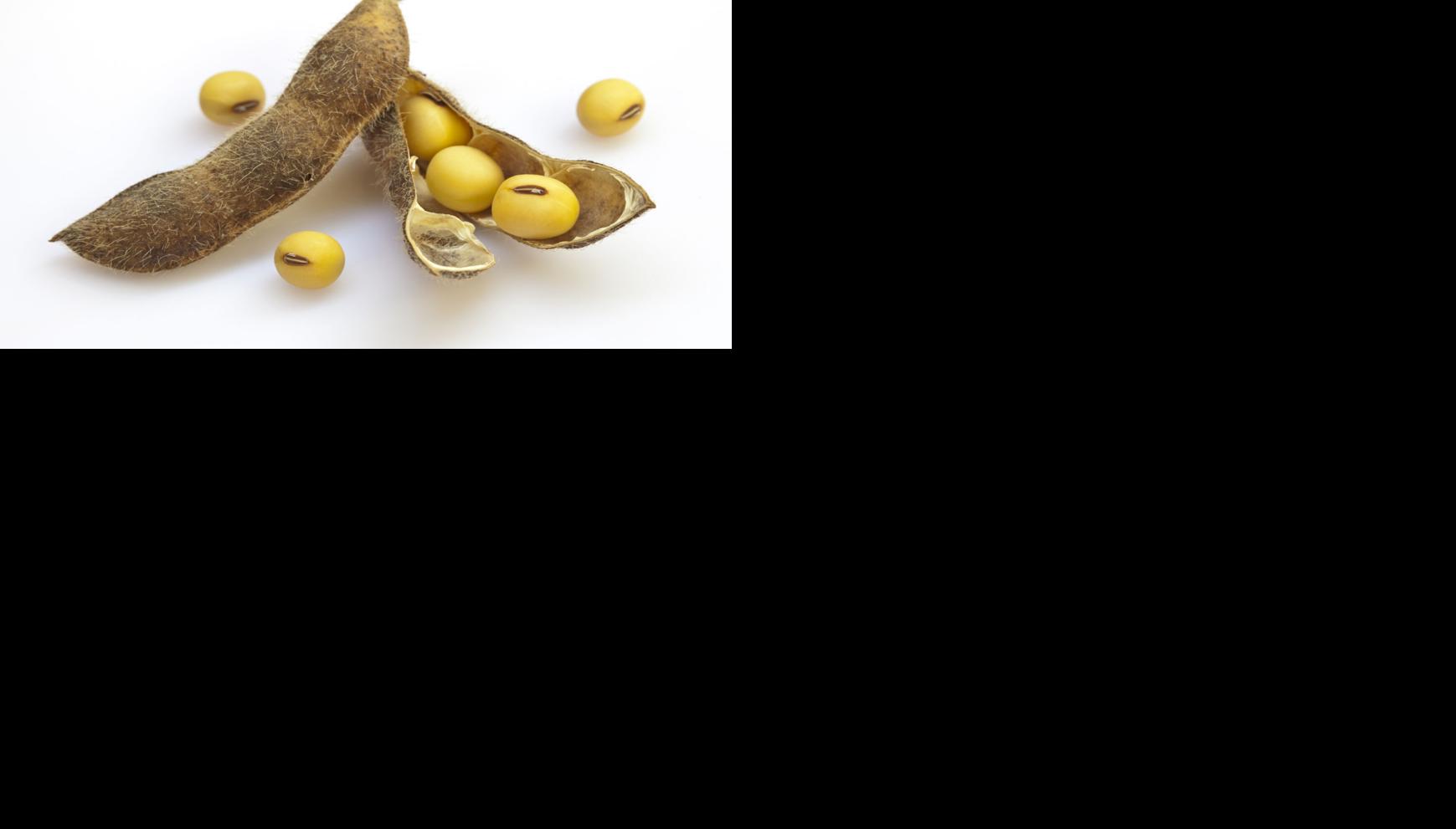 Why soybeans are dietary superstars