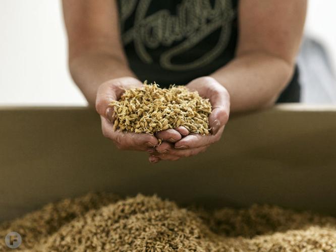 Gateway Custom Malt Offers Local and Customized Malt
