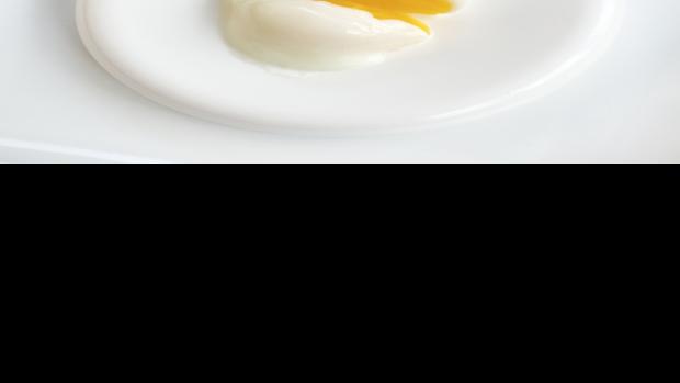 Tech School: The 65° Egg | Main Courses | feastmagazine.com